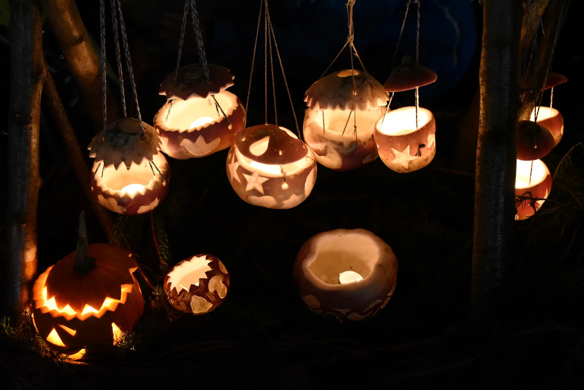 Kleine Räben mit Licht